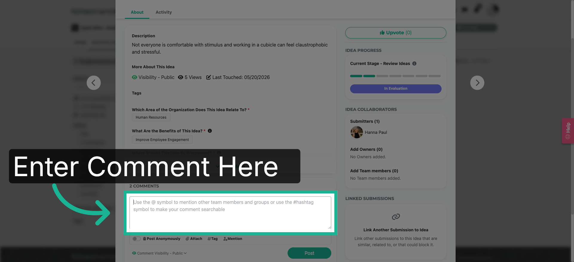 Access Commenting Guidelines