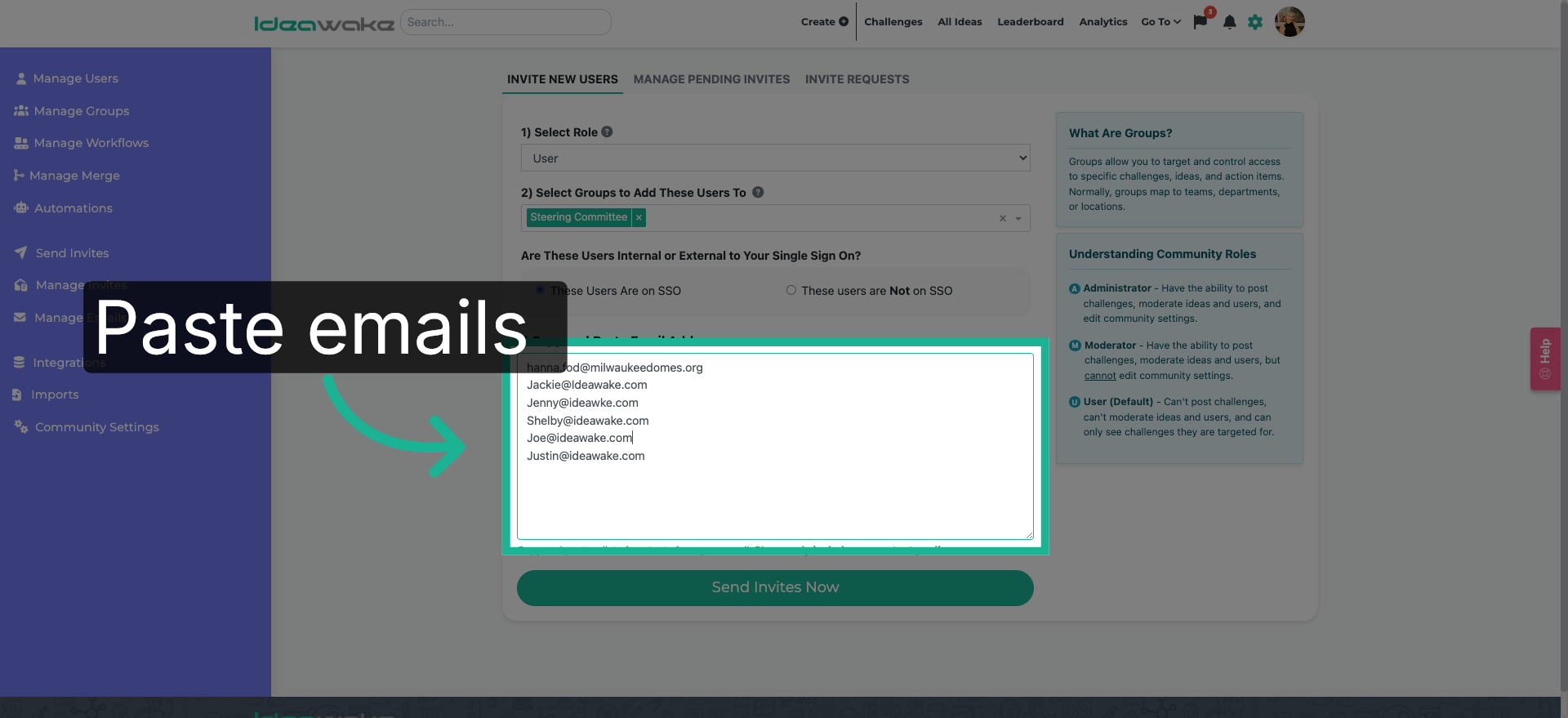 Paste Multiple Emails