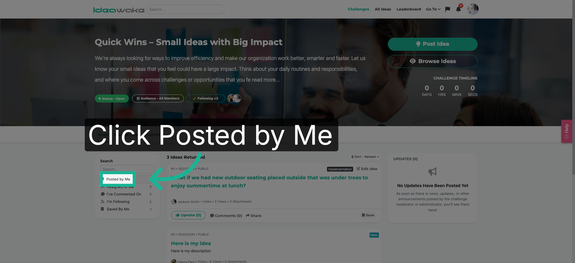 View Your Posted Ideas